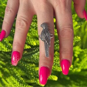 Parrot Bird Ring